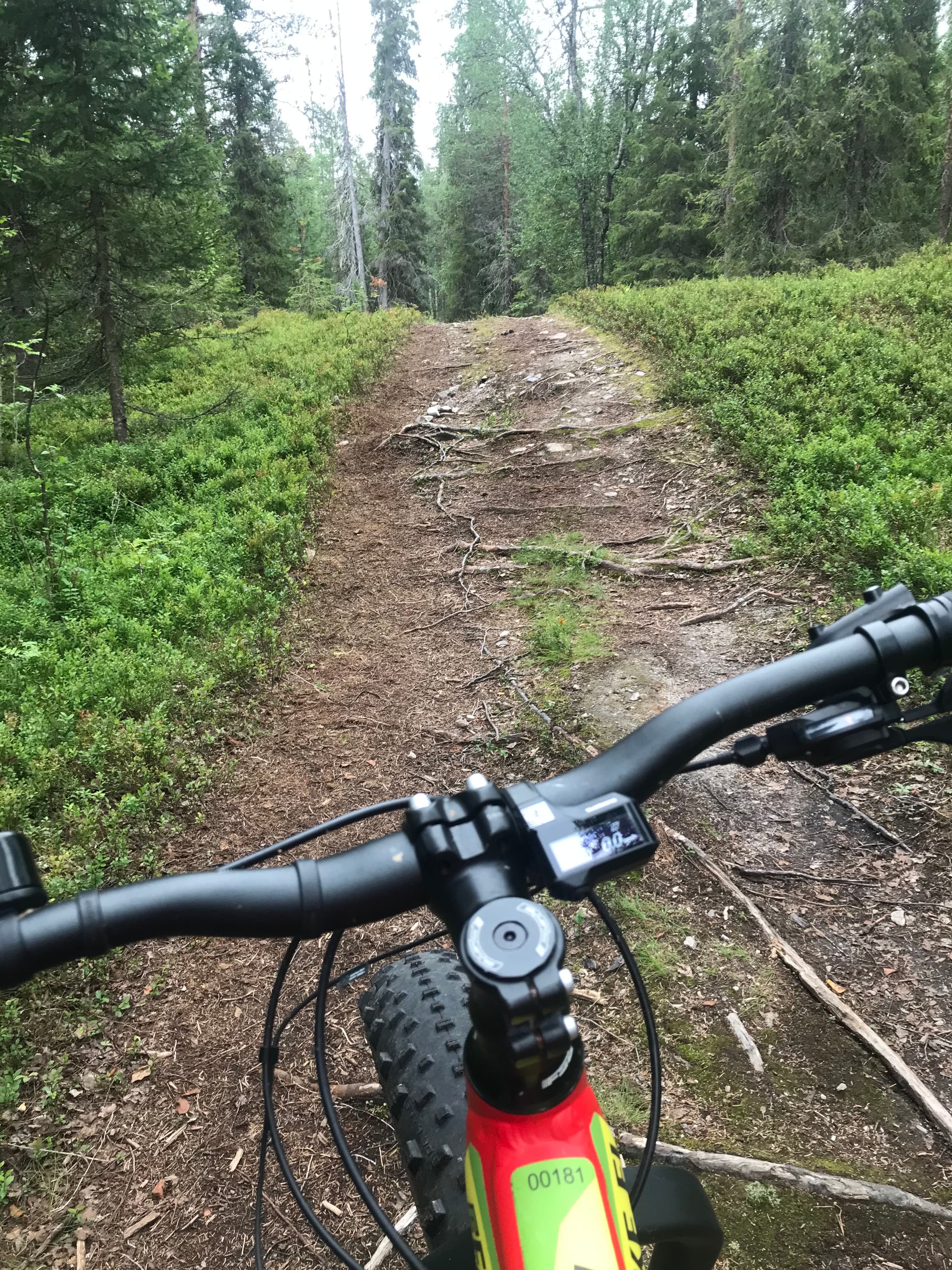 Järvimaisema tuntureiden suuntaan.