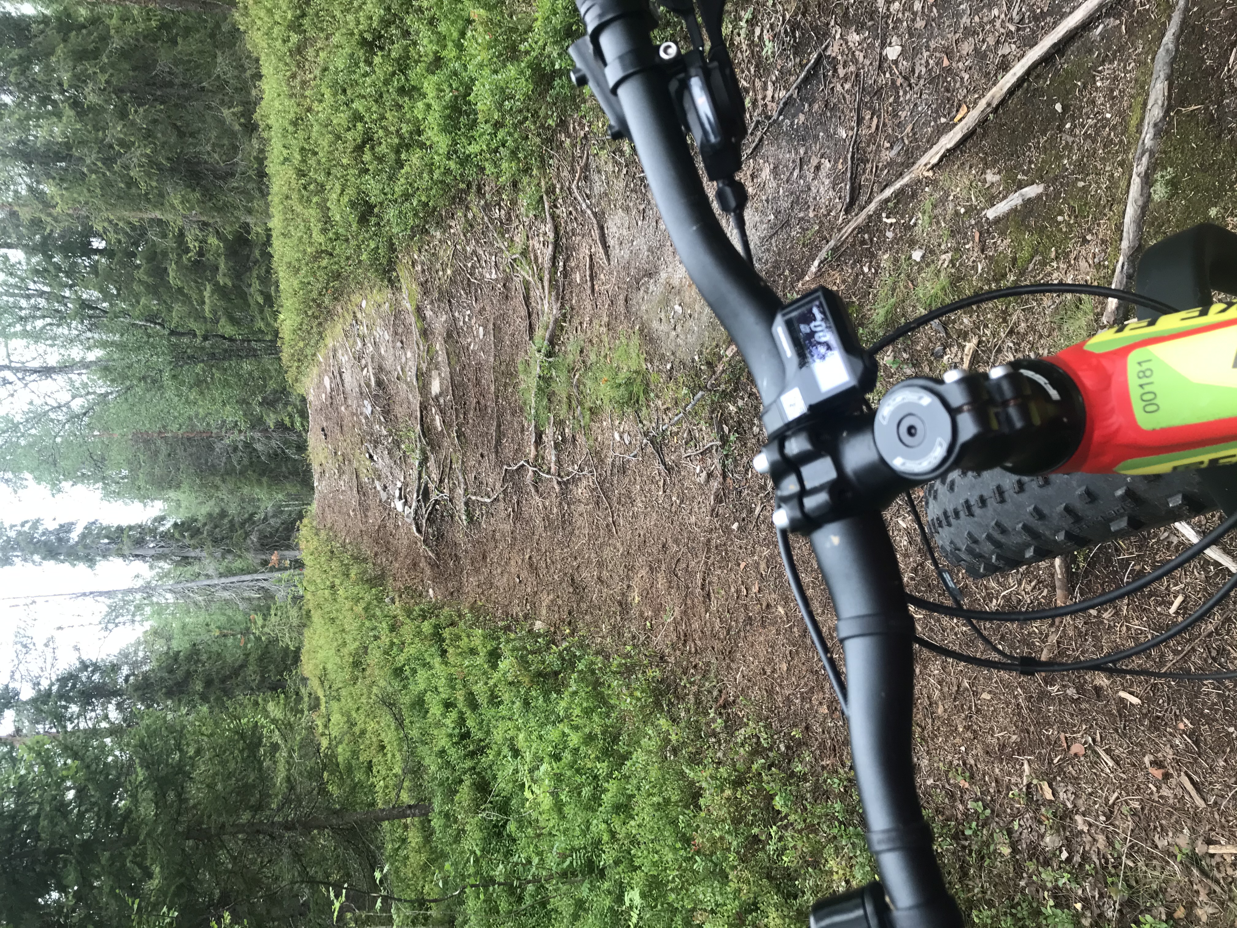 Tunteisiin ei kuole, mutta niihin voi jäädä kiinni